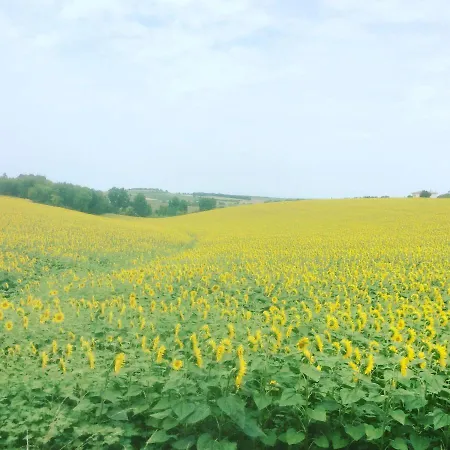 Farmház Peach Tree Cottage Sunflower Valley